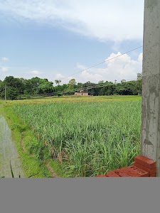 Shiv Mandir
