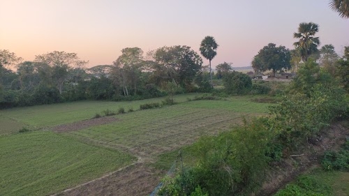 Baniapal Primary School