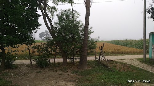 Lohartoli