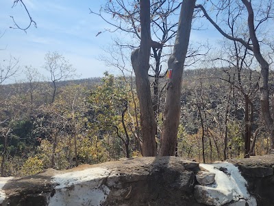Satpura National Park Safari Booking