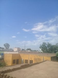 Goorsial