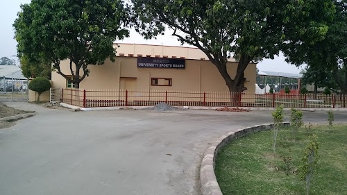 University Of Sports Board