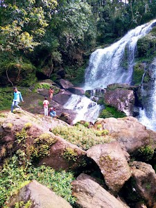 Mankulam