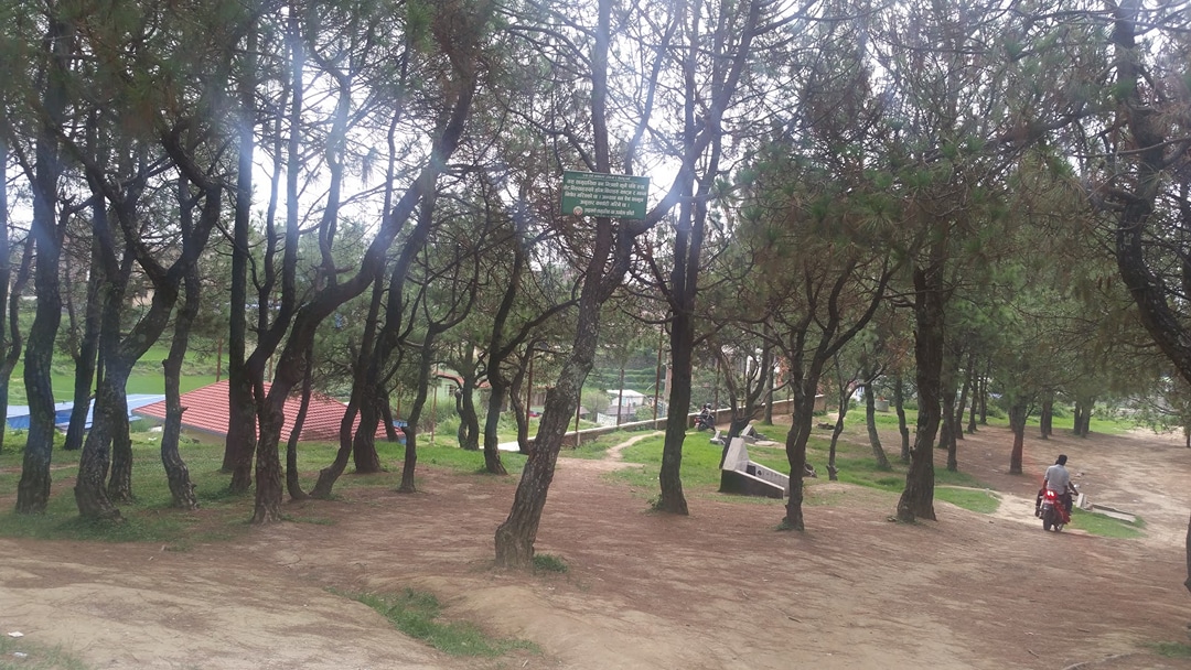 Bhutkhel Park