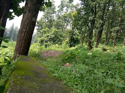 Kishi Forest Casa, Dehradun