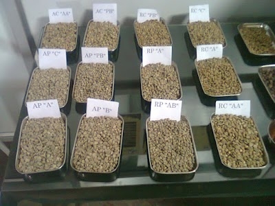 Sorrota Coffee