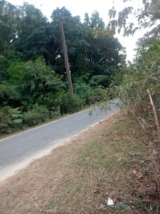 Jeet sen