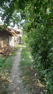 Nodakhali