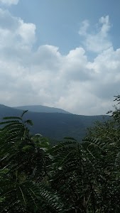 Beratahalli