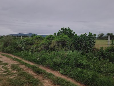 Avikanagar