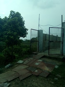 Kanjoli