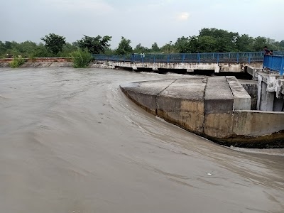Dhanouri