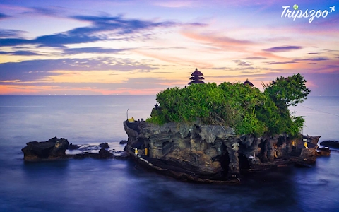 Tripszoo Travelhub Private Limited