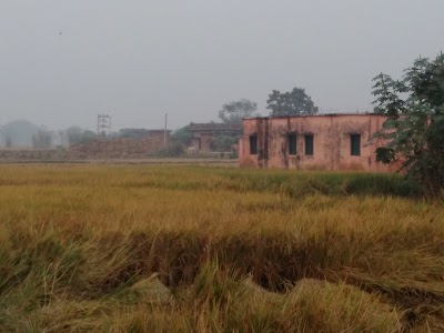 Rajkiye Madhay Vidyalaya School Dhanaw