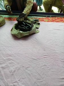 Maharaja Lassi House