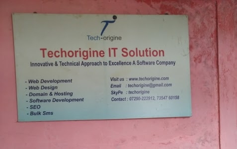 Techorigine IT Solution