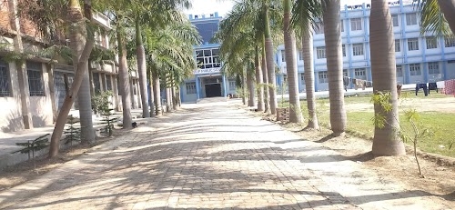 TULIP PUBLIC SCHOOL
