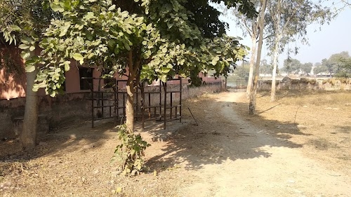 Govt Veterinary Hospital