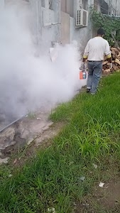 Expert integrated pest control srevice