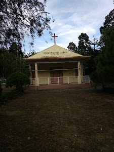 Puradia