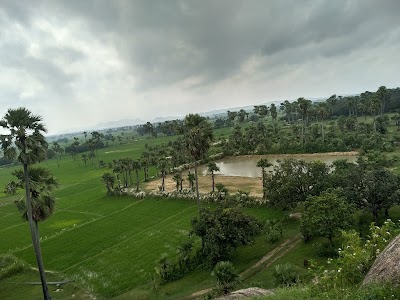 Chutia