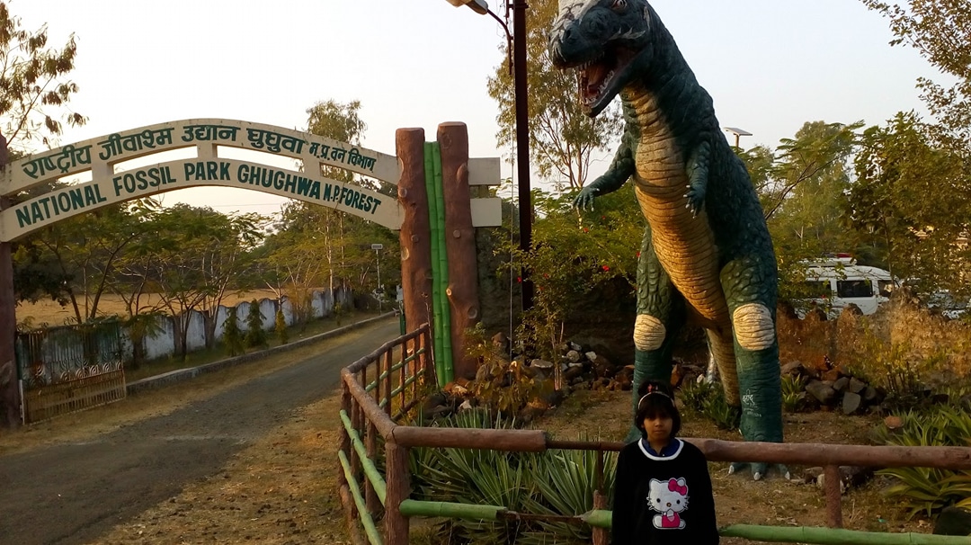Ghughwa Fossil Park