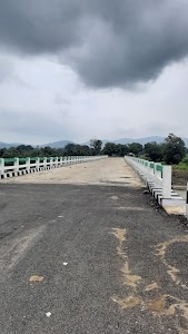 Tangarpali