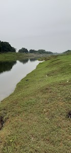 Behda