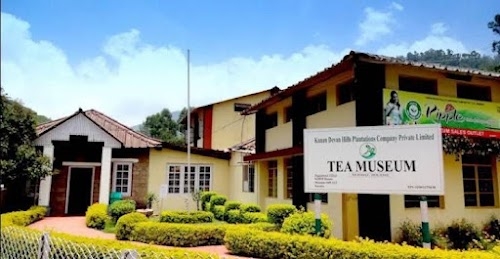 Tea Museum