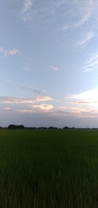 Baharbari