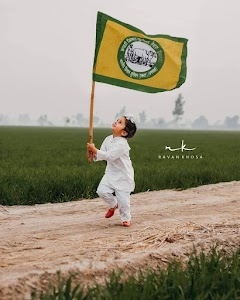 Yadavfarm SkM