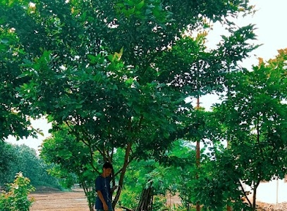 Thāpa Darenchi