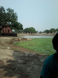 Paniyara