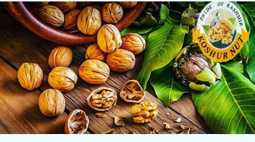 KoshurNut