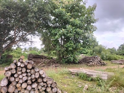 Forest offlce saliyamangalam