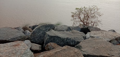 Balianta
