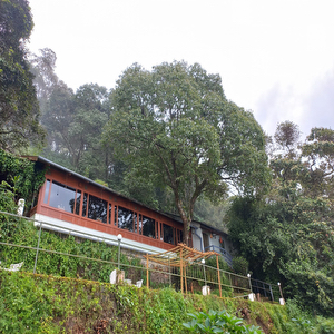 Blackberry Hills Munnar Nature Resort & Spa