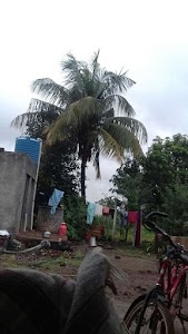 Shirsuphal