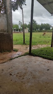 Rangamura Higher Secondary School