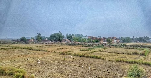 Zaburna
