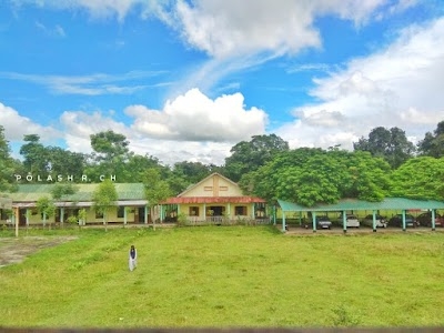 Amguri College