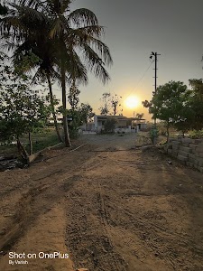 GHASURA FARM