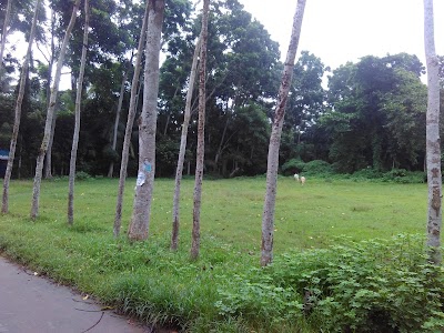 Gangnapur Nabarun Sangha Playground