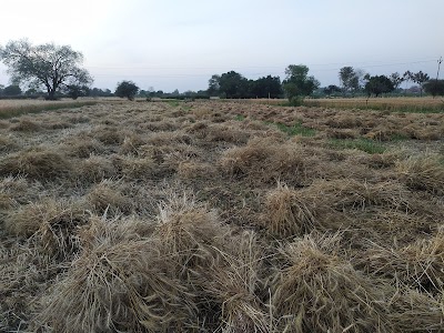 Kasimpur