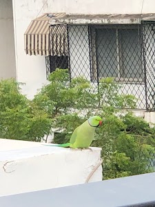 Hill View Apartments, Vasant Vihar