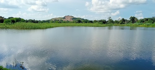 Pudisada