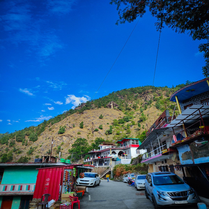 Sari