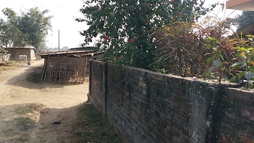 Hanuman mandir jamun tola