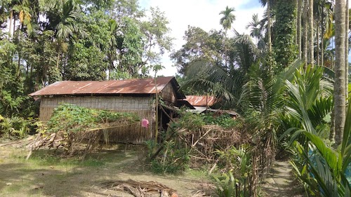 Dulel roy house