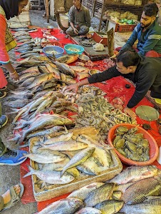 Malda Bazaar Fish Market